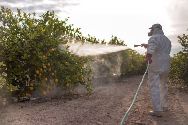 Best Cockroach Control Services  in Valdese, NC